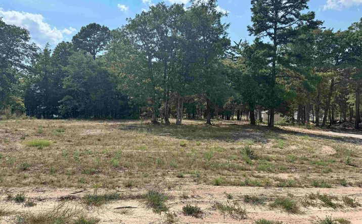 Pictures of Special Purpose property located at 0000 FM 115, Scroggins, TX 75480 for sales - image #1