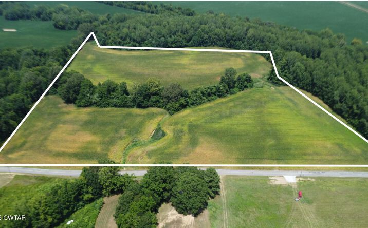 Pictures of Land property located at 00 Menzie Road, Dyersburg, TN 38024 for sales - image #1