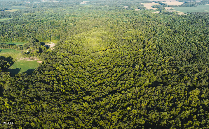 Pictures of Land property located at 500 Ross Road, McKenzie, TN 38201 for sales - image #1