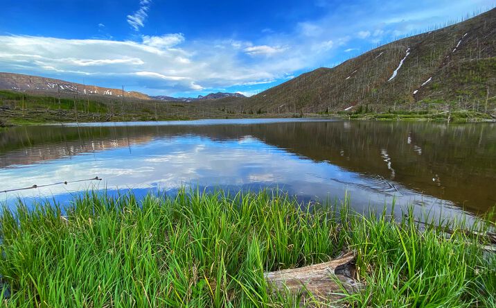 Pictures of Land, Mixed Use property located at 7700 Trappers Lake Rd, Meeker, CO 81641 for sales - image #1