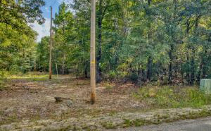Pictures of Land property located at 0 Millwood Drive, Salley, SC 29137 for sales - image #1