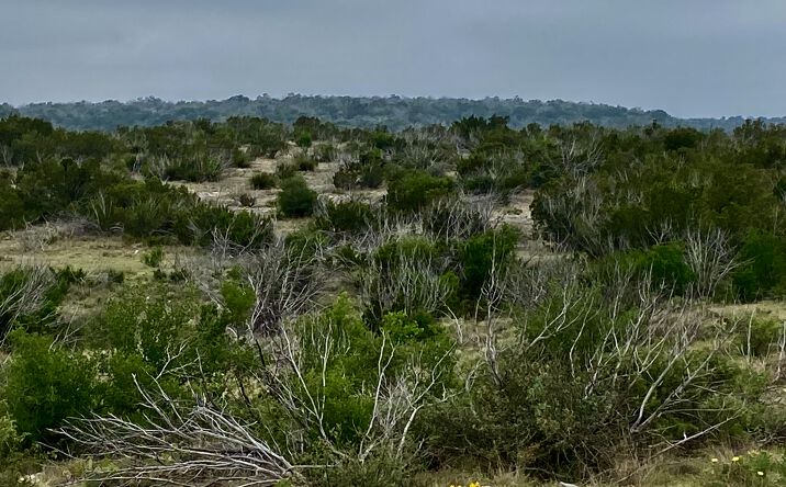 Pictures of Land property located at 0000 Brando Road, Sonora, TX 76950 for sales - image #1