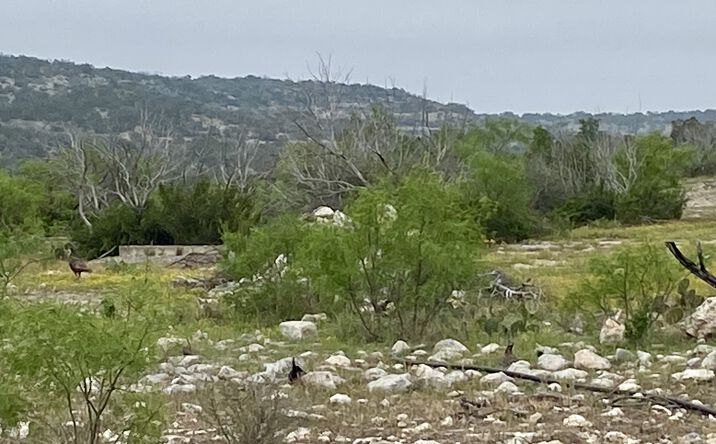 Pictures of Land property located at High Lonesome Rd, Sonora, TX 76950 for sales - image #1