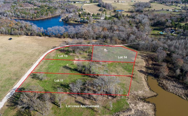 Pictures of Land property located at Lot 14 CR 2228, Mineola, TX 75773 for sales - image #1