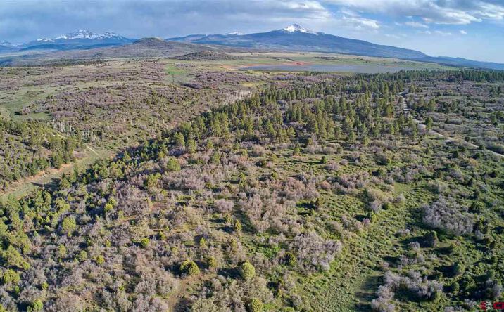 Pictures of Land property located at Tbd Gurley Lk Norwood, Norwood, CO 81423 for sales - image #1