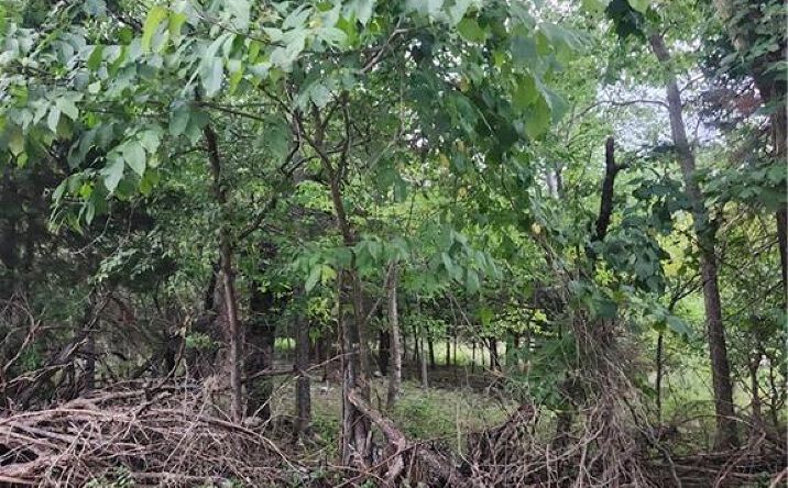 Pictures of Land, Special Purpose property located at 2 & 6 Shady Lane, Linn Valley, KS 66040 for sales - image #1