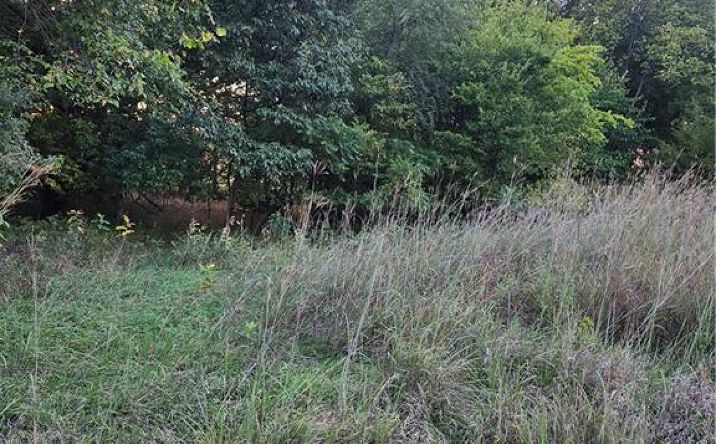 Pictures of Land, Special Purpose property located at 45 Holly Lane, Linn Valley, KS 66040 for sales - image #1