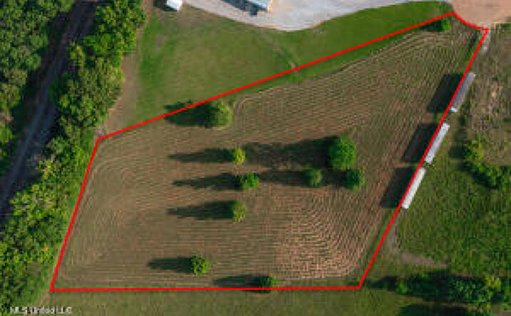 Pictures of Land property located at Lone Wolf Dr, Gluckstadt, MS 39110 for sales - image #1