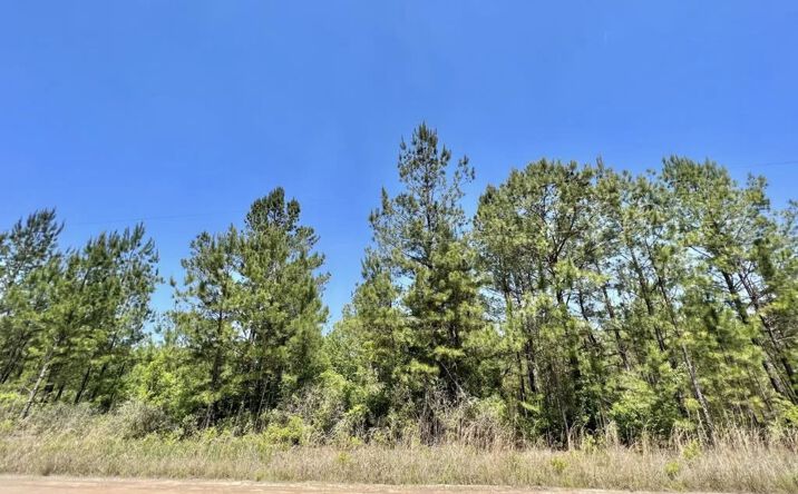 Pictures of Land property located at 1520 Will Cox Rd, Waycross, GA 31503 for sales - image #1