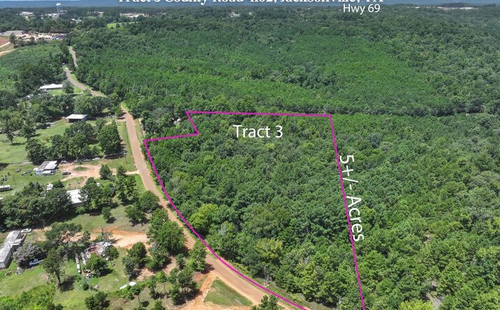 Pictures of Land property located at Tract 3 County Road 4102, Jacksonville, TX 75766 for sales - image #1