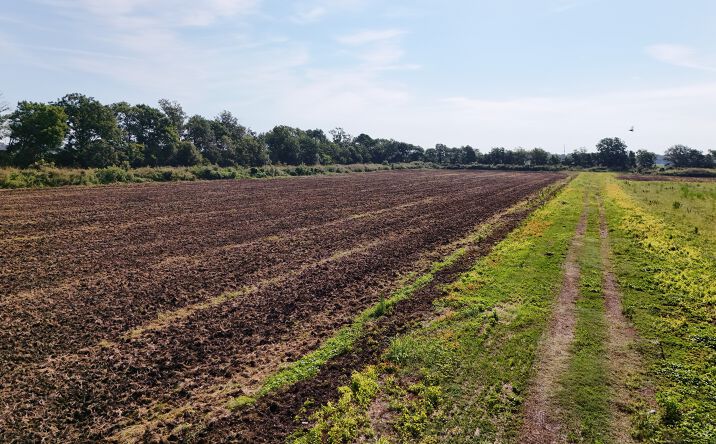 Pictures of Land property located at Julius Lucas Road, Cleveland, MS 38732 for sales - image #1