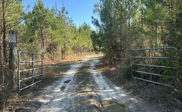 Pictures of Land property located at Tract#6317 Harris Stevenson Rd, Bonifay, FL 32425 for sales - image #1