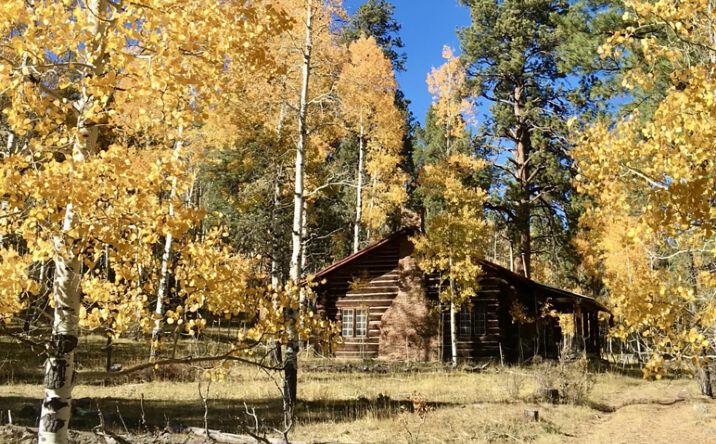 Pictures of Land property located at County Road 280, El Rito, NM 87530 for sales - image #1