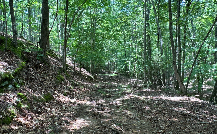 Pictures of Land property located at 0 Super Deluxe Rd, Rockmart, GA 30153 for sales - image #1
