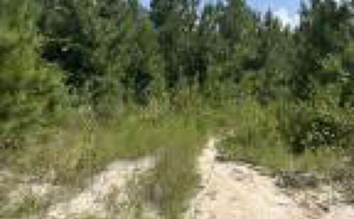 Pictures of Land property located at Bff 4 Brunson Teal Road, Kershaw, SC 29067 for sales - image #1