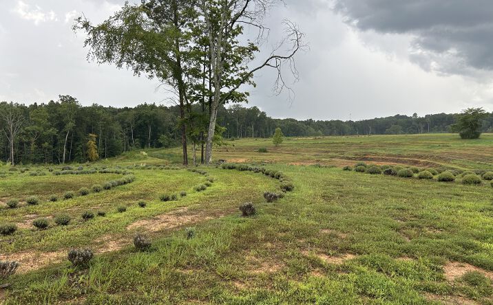 Pictures of Land property located at 361 County Road 170, Athens, TN 37303 for sales - image #1