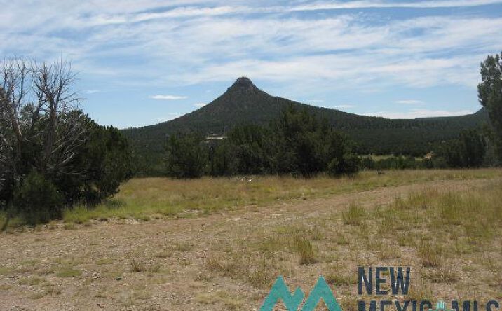 Pictures of Land property located at 3.75 +/- Acres Tract B 2 B, Serafina, NM 87569 for sales - image #1