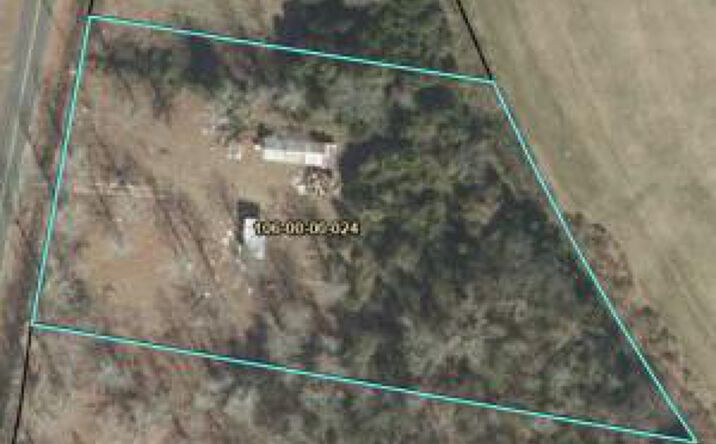 Pictures of Mixed Use property located at 2028 Whitetail Drive, Blackville, SC 29817 for sales - image #1