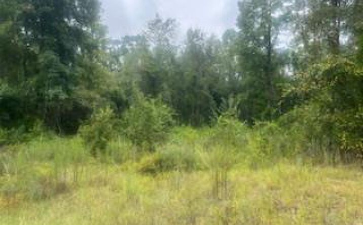 Pictures of Land, Special Purpose property located at NHN RAULT DR, Lumberton, MS 39455 for sales - image #1