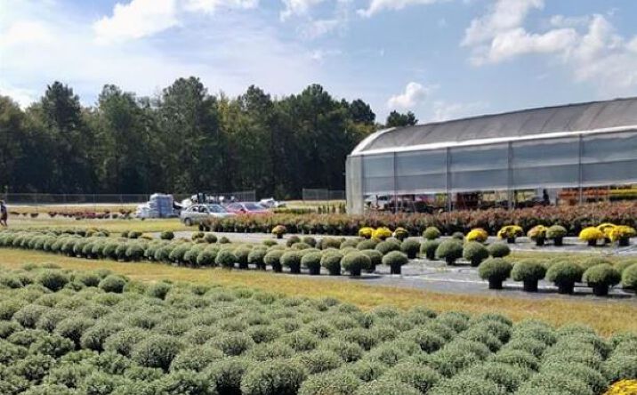 32544 Hwy 9 Highway, Pageland, South Carolina, Pageland, SC 29728 ...