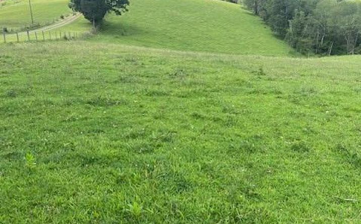 Pictures of Land property located at TBD Cornerstone Road, Independence, VA 24348 for sales - image #1