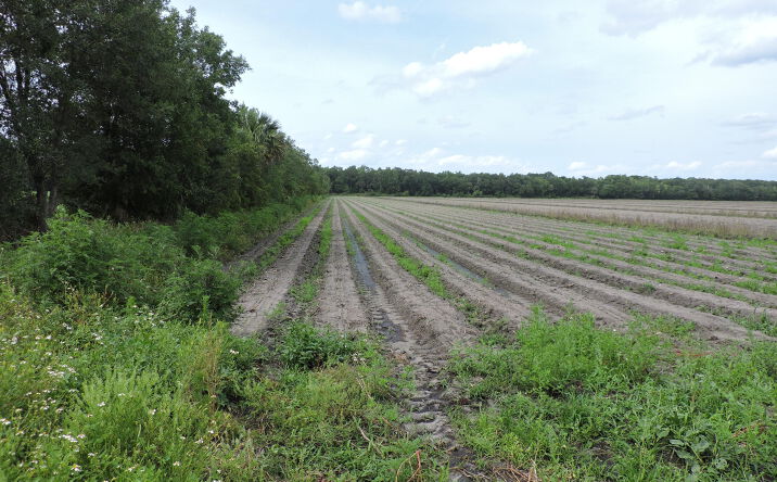 Pictures of Land, Multifamily property located at COUNTY ROAD 108, Bunnell, FL 32110 for sales - image #1