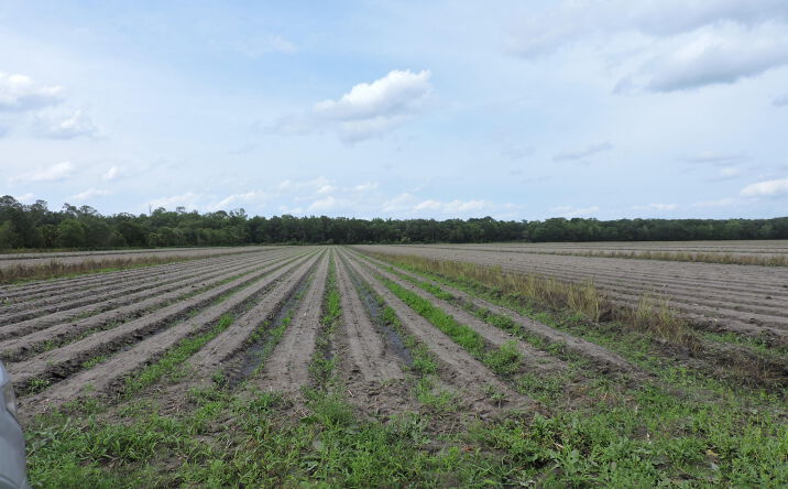 Pictures of Land, Multifamily property located at COUNTY ROAD 108, Bunnell, FL 32110 for sales - image #1