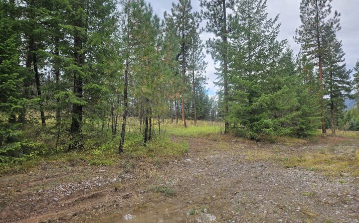 Pictures of Land property located at NHN Whitewater Lane, Alberton, MT 59820 for sales - image #1