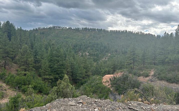 Pictures of Land property located at 17235 Hwy 160, Durango, CO 81301 for sales - image #1