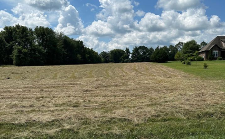 Pictures of Land property located at 0 Maynard Ln Lot 2, Columbia, TN 38401 for sales - image #1