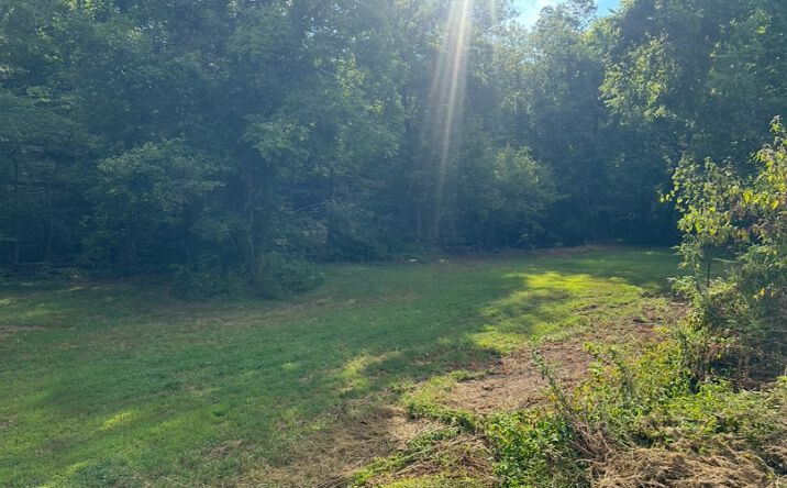 Pictures of Land property located at 8884 US-412, Linden, TN 37096 for sales - image #1