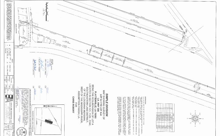 Pictures of Land property located at LA 308, Belle Rose, LA 70341 for sales - image #1