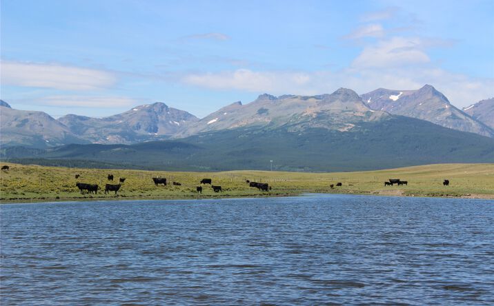 Pictures of Land property located at NHN US Hwy 2, East Glacier Park, MT 59434 for sales - image #1