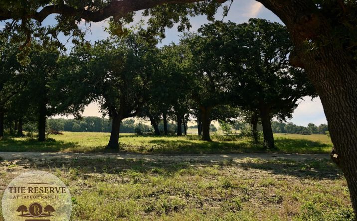 Pictures of Land property located at Lot 58 Camden Lane, Springtown, TX 76082 for sales - image #1