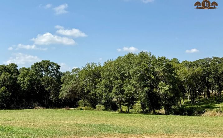 Pictures of Land property located at Lot 72 Camden Lane, Springtown, TX 76082 for sales - image #1