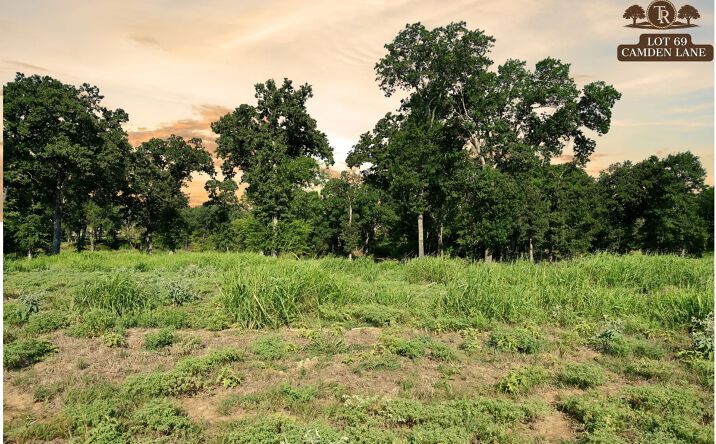 Pictures of Land property located at Lot 69 Camden Lane, Springtown, TX 76082 for sales - image #1