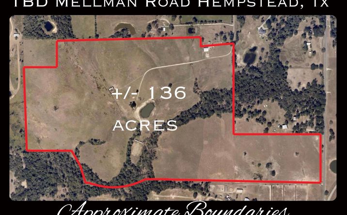 Pictures of Land property located at TBD Mellman Road +/- 136 Acres, Hempstead, TX 77445 for sales - image #1