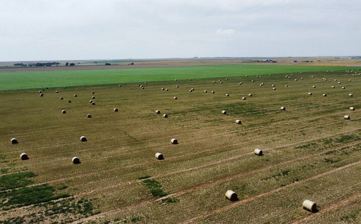 Pictures of Land property located at County Road 33, Genoa, CO 80818 for sales - image #1