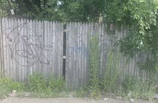 26766437