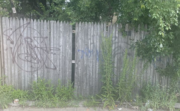 Pictures of Land property located at 457 N Western Avenue, Chicago, IL 60612 for sales - image #1
