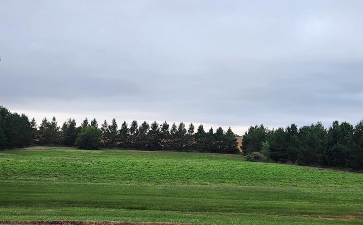 Pictures of Land property located at LOT 3 BLK 1 W Hwy 37 W, Garrison, ND 58540 for sales - image #1