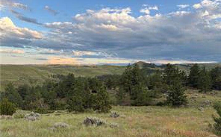 Pictures of Land property located at Lot 94 Owl Canyon Road, Reed Point, MT 59069 for sales - image #1