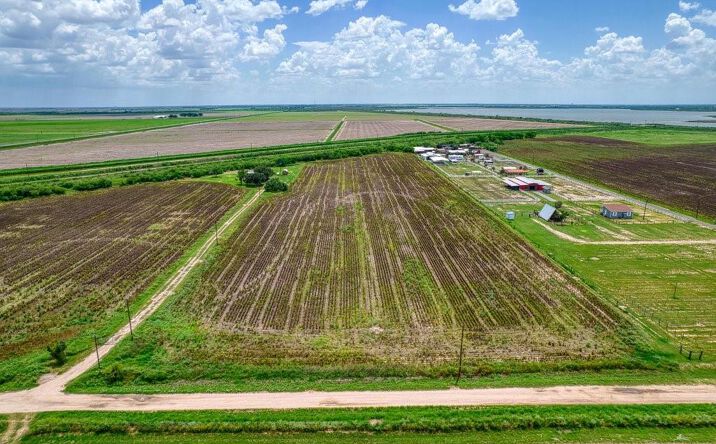 Pictures of Land property located at Israel Cavazos Road, Hargill, TX 78538 for sales - image #1