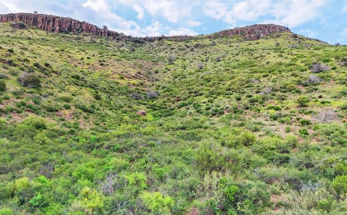Pictures of Land property located at TBD Hwy 17, Fort Davis, TX 79734 for sales - image #1