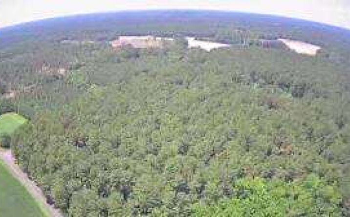 Pictures of Land property located at Nursery Rd, Reevesville, SC 29471 for sales - image #1