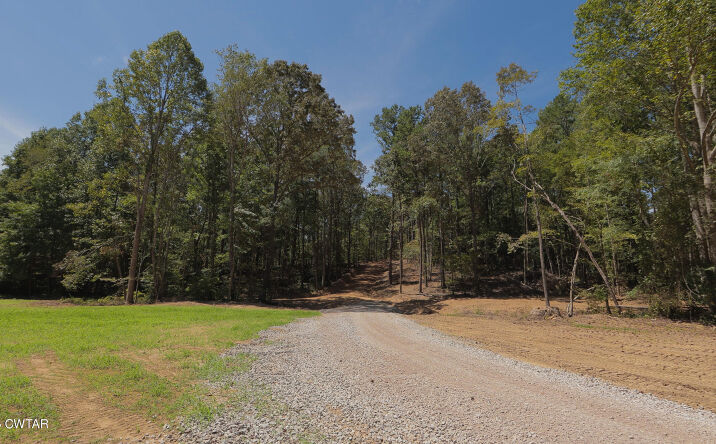 Pictures of Land property located at 2114 Eldie Foster Road, Pocahontas, TN 38061 for sales - image #1