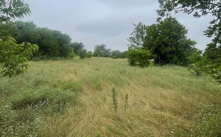 Pictures of Land property located at 139 County Rd 4713, Rhome, TX 76078 for sales - image #1