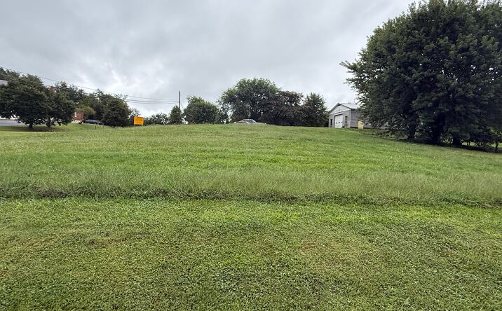 Pictures of Industrial property located at 29203 Wayside Lane, Meadowview, VA 24361 for sales - image #1