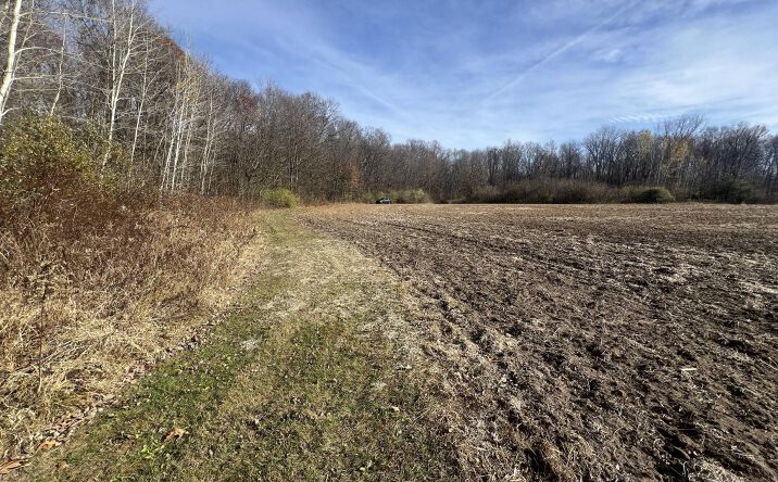 Pictures of Land property located at Oakville Waltz Rd, Milan, MI 48160 for sales - image #1