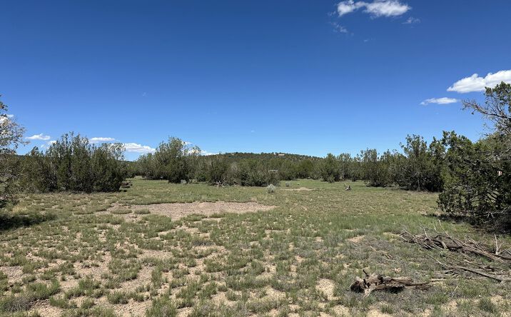 Pictures of Land, Multifamily property located at 1013 W Fairview Drive, Williams, AZ 86046 for sales - image #1